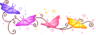 29690320_1387184545039_1024x1024.gif