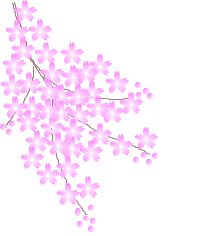 29690320_1387184545039_1024x1024.gif